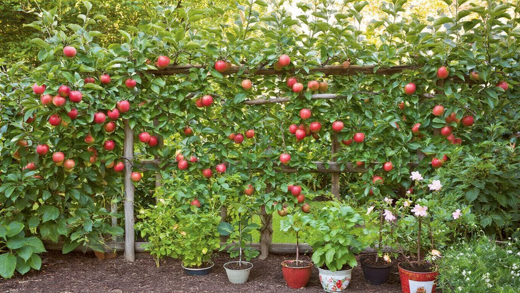 choosing suitable fruit trees