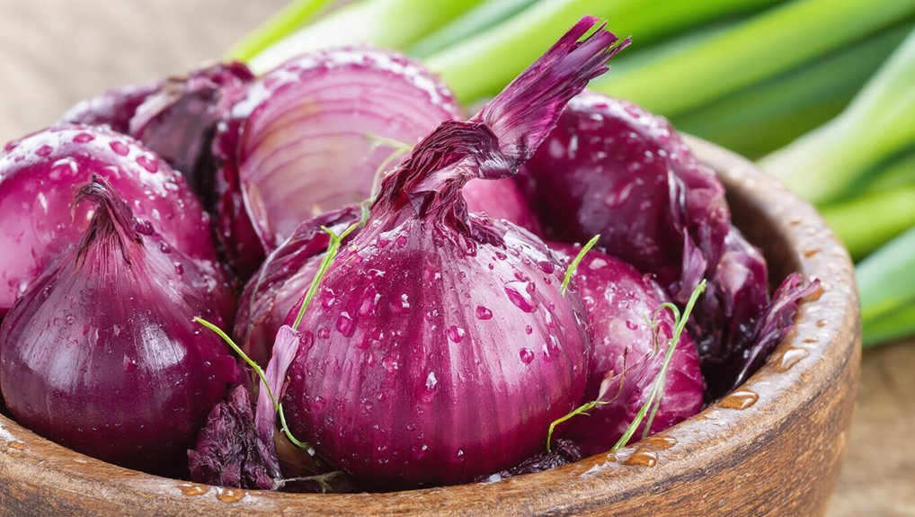 regrowing healthy onion varieties